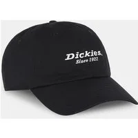 Dickies Baseball Cap Dickies Workwear Mützen TWILL DAD HAT
