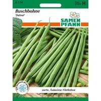 SAMEN PFANN Gemüsesamen Buschbohne, Delinel - Bohnen-Samen Saatgut Samen, Phaseolus vulgaris