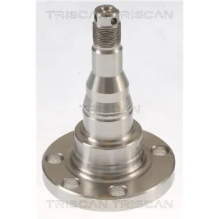 Triscan Radnabe Hinten Audi Seat VW 853529009