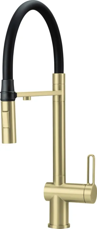 Neuesbad Küchenarmatur mit Flex-Auslauf, 2-Funktion SPRAY + WATER FILTER Anschluss, Gold Gebürstet NB1DEBRMR75M1
