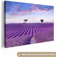 OneMillionCanvasses® Leinwandbild Lavendel - Natur - Lila - Bäume - Blumen, Fotodruck (1 St), Leinwand Bilder Klein, Wand Dekoration Aesthetic 30x20 cm