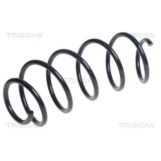 Triscan Feder Vorne Citroen C4 Peugeot 2008 208