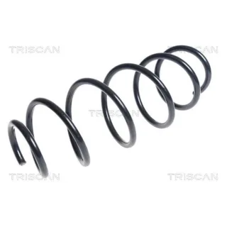 Triscan Feder vorne Fiat Doblo Opel Combo 875015197