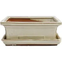 Exotenherz Pflanzschale Bonsai-Schale mit Unterteller Gr. 3 hellbeige eckig Modell G29 L 18cm (1 St)