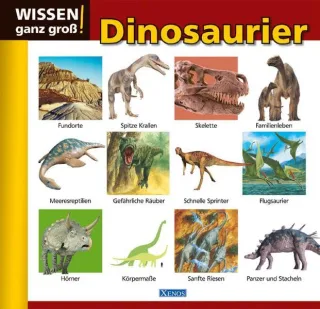 Dinosaurier: Wissen ganz groß! [Gebundene Ausgabe] [2009] Krabbe Wiebke