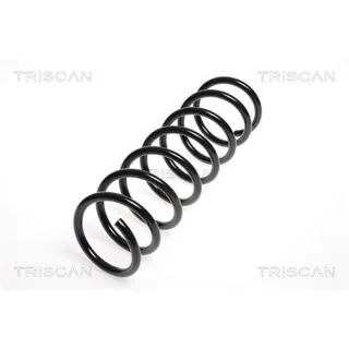 Triscan Feder hinten Ford Focus 2 875016044