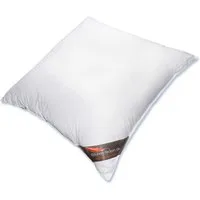 daunen-federn.de Daunenkissen Daunenkissen 40x40 - 100 % neue Daunen Klasse 1, Füllung: 100% Gänsedaunen, Made in Germany