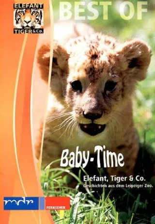 Elefant Tiger & Co. - Baby-Time [DVD] [2004]