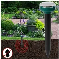 Casativo Vibrations-Tierabwehr Solar Maulwurf&Wühlmaus Vertreiber im Set pro Erdspieß ca. 30 m IP44, 4-tlg., Solar, chemiefrei, IP44, 30 m/700 m² je Spieß, als 4er/8er/16er Set