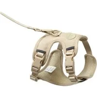 LucyBalu Katzen-Halsband EXPLORER Katzengeschirr mit Leine