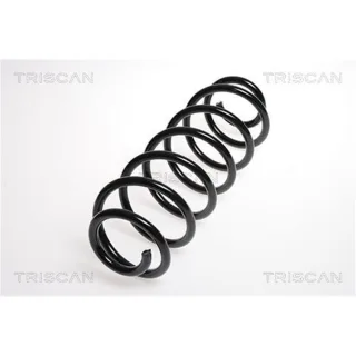 Triscan Feder hinten Ford Fusion