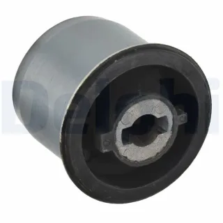Delphi Achsk?rperlager hinten Citroen C4 Peugeot 307 TD1157W