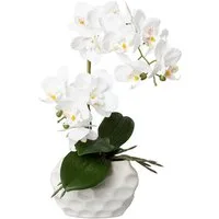 Kunstorchidee Deko-Orchidee Phalaenopsis im Keramiktopf Orchidee Phalenopsis, Creativ green, Höhe 33 cm