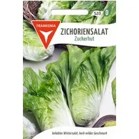 FRANKONIA Gemüsesamen Zichoriensalat, Zuckerhut - Saatgut Salat-Samen Samen, Cichorium intybus
