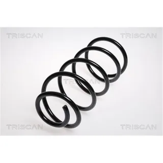 Triscan Feder vorne Ford Focus 2 875016042