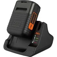 Ladegerät + Akku BDC2A36-QW, 36Volt schwarz