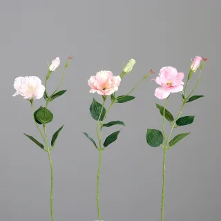 Kunstblume Lisianthus