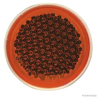 HERTH&BUSS Rückstrahler, 84 mm, gelb gelb - 78623029