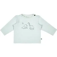 Sterntaler® Langarmshirt Langarmshirt Rexi (1-tlg)