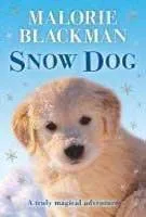Corgi pups: Snow dog