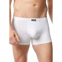 Bruno Banani Retro Pants mit elastischem Bund
