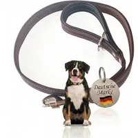 Activity4Dogs Hundeleine für große Hunde Leder, 1m, mit gepolsterter Schlaufe, verschiedene Farben, Made in Germany