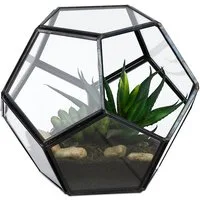 relaxdays Dekovase Geometrisches Pflanzenterrarium aus Glas (1 St), schwarz