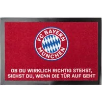 FC Bayern München Fußmatte FC Bayern München Fußmatte I Schmutzfangmatte I Fußabstreifer