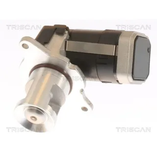 Triscan AGR-Ventil Mercedes C-Klasse W204 E-Klasse W211