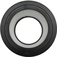 Comedes Ersatzfilter 2er Set Comedes Ersatzfilter einsetzbar statt Philips FY0611/30, Zubehör für Luftreiniger Philips AC0650, AC0651/10