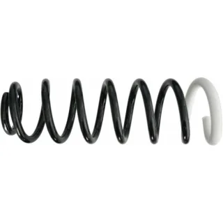 Sachs Feder hinten Citroen C5 994771