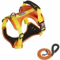 KINSI Hunde-Geschirr Reflektierende Haustierleine, mit reflektierenden Streifen, sicher, Softgeschirr mit Leine,verstellbar von 45-55 cm