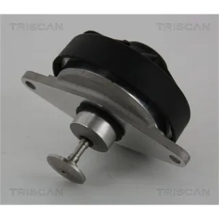 Triscan AGR-Ventil Opel Vectra 2,2