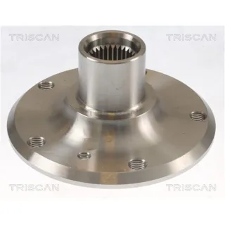 Triscan Radnabe Hinten BMW 1er 3er X1