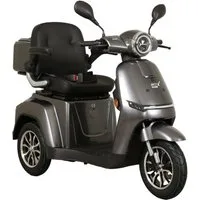 Aktiv mobil Elektromobil AM E-Rider 1000, 25 km/h mit Topcase, 1000 W, 25 km/h, Topcase mit Fassungsvermögen von ca. 25 l, Staufach mit ca. 19 l