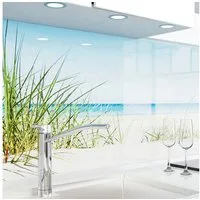 danario Küchenrückwand Folie selbstklebend, Glasoptik, Spritzschutz Küche, ablösbar - 0,8 mm