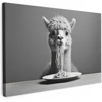OneMillionCanvasses® Leinwandbild Alpaka - Nudeln - Schwarz - Weiß - Lustig - Tiere, Fotodruck (1 St), Küchenbilder Modern, Deko Bilder für die Küche 30x20 cm