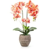 Kunstorchidee PASCH® Orchidee künstlich wie echt (60cm) in Urban Stone Töpfen Orchidee, PASCH, Real Touch Blüten, Handgefertigter Stone Cube