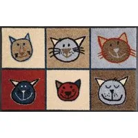 wash+dry by Kleen-Tex Fußmatte Miau Miau, rechteckig, Höhe: 7 mm, Schmutzfangmatte, Motiv Katzen, rutschhemmend, waschbar