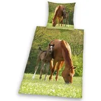 Herding Young Collection Kinderbettwäsche Pferd mit Fohlen, Linon, 2 teilig, für Pferdefreunde