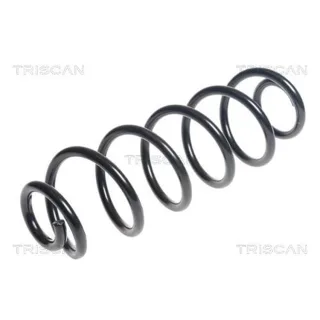 Triscan Feder hinten Audi A6 A7