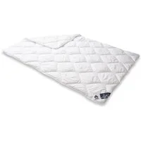 Irisette Microfaserbettdecke Steppbett Irisette Edition, Füllung: Markenhohlfaser irisette® Fill® - 100% Polyester, Bezug: weich und anschmiegsam, kochwaschbar bis 95°C, allergikergeeignet, preisbewusste Schläfer