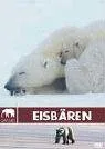 Safari - Eisbären