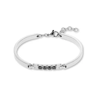 FAVS Armband 89219604
