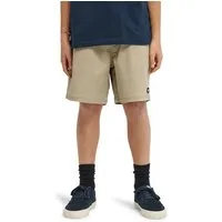 Element Chinoshorts Regular Ewaist