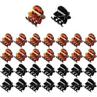 LuxusKollektion Haarklammer 30Pcs Haarklammern Mini Haar Clips Haarspangen Aufbewahrungstasche