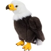 Teddys Rothenburg Kuscheltier Weißkopfseeadler 31 cm Plüschadler