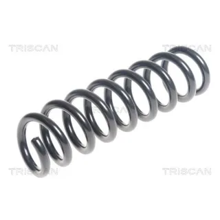Triscan Feder hinten BMW 1er 4er