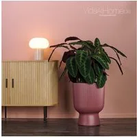VidaAtHome.de Blumentopf Design-Pflanzgefäß ALVY ø 40er