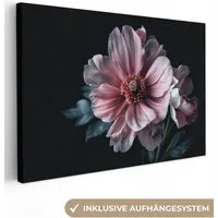 OneMillionCanvasses® Leinwandbild Blume - Rosa - Natur, Fotodruck (1 St), Leinwand Bilder Klein, Wand Dekoration Aesthetic 30x20 cm
